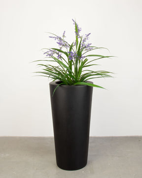 Basalo Conical Set mit Lavendel