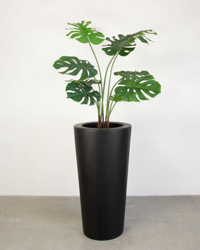 Basalo Conical Set mit Monstera