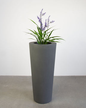 Basalo Conical Set mit Lavendel