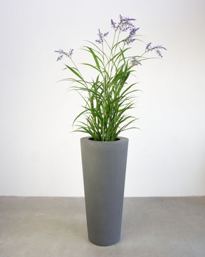 Basalo Conical Set mit Lavendel