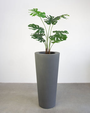 Basalo Conical Set mit Monstera