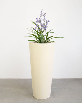 Basalo Conical Set mit Lavendel