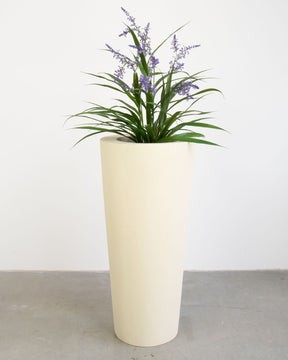 Basalo Conical Set mit Lavendel