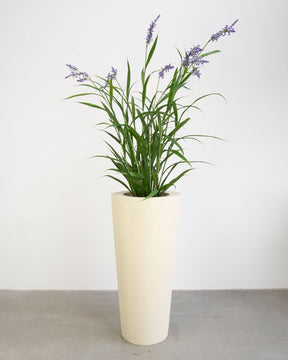 Basalo Conical Set mit Lavendel