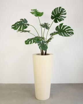 Basalo Conical Set mit Monstera