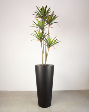 Basalo Conical Set mit Yucca - Palmlilie