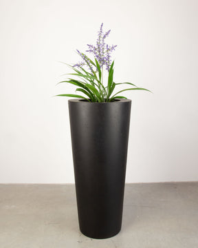 Basalo Conical Set mit Lavendel