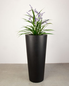 Basalo Conical Set mit Lavendel