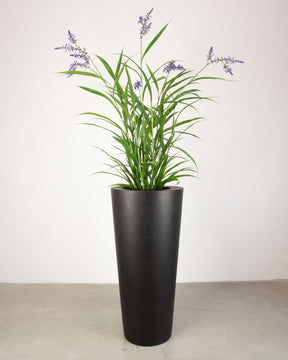 Basalo Conical Set mit Lavendel