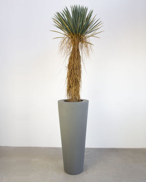Basalo Conical Set mit Yucca Palmlilie