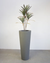 Basalo Conical Set mit Yucca - Palmlilie