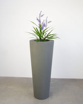 Basalo Conical Set mit Lavendel
