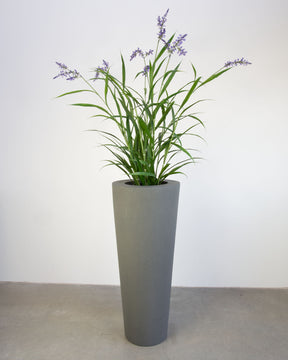 Basalo Conical Set mit Lavendel