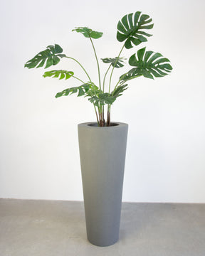 Basalo Conical Set mit Monstera