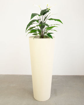 Basalo Conical Set mit Einblatt