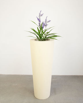 Basalo Conical Set mit Lavendel