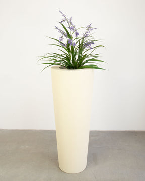Basalo Conical Set mit Lavendel