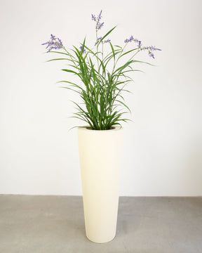 Basalo Conical Set mit Lavendel