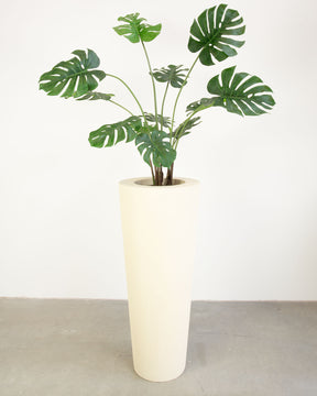 Basalo Conical Set mit Monstera