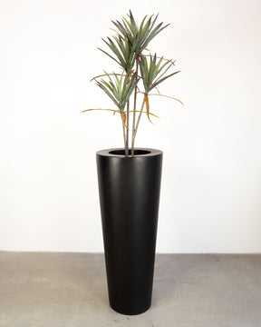 Basalo Conical Set mit Yucca - Palmlilie