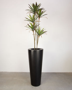 Basalo Conical Set mit Yucca - Palmlilie