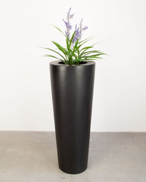 Basalo Conical Set mit Lavendel