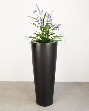 Basalo Conical Set mit Lavendel