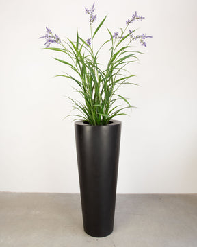 Basalo Conical Set mit Lavendel