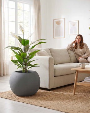 Basalo Globe Pflanzgefäß mit Einblatt Spathiphyllum im Set Frontansicht für das Wohnzimmer