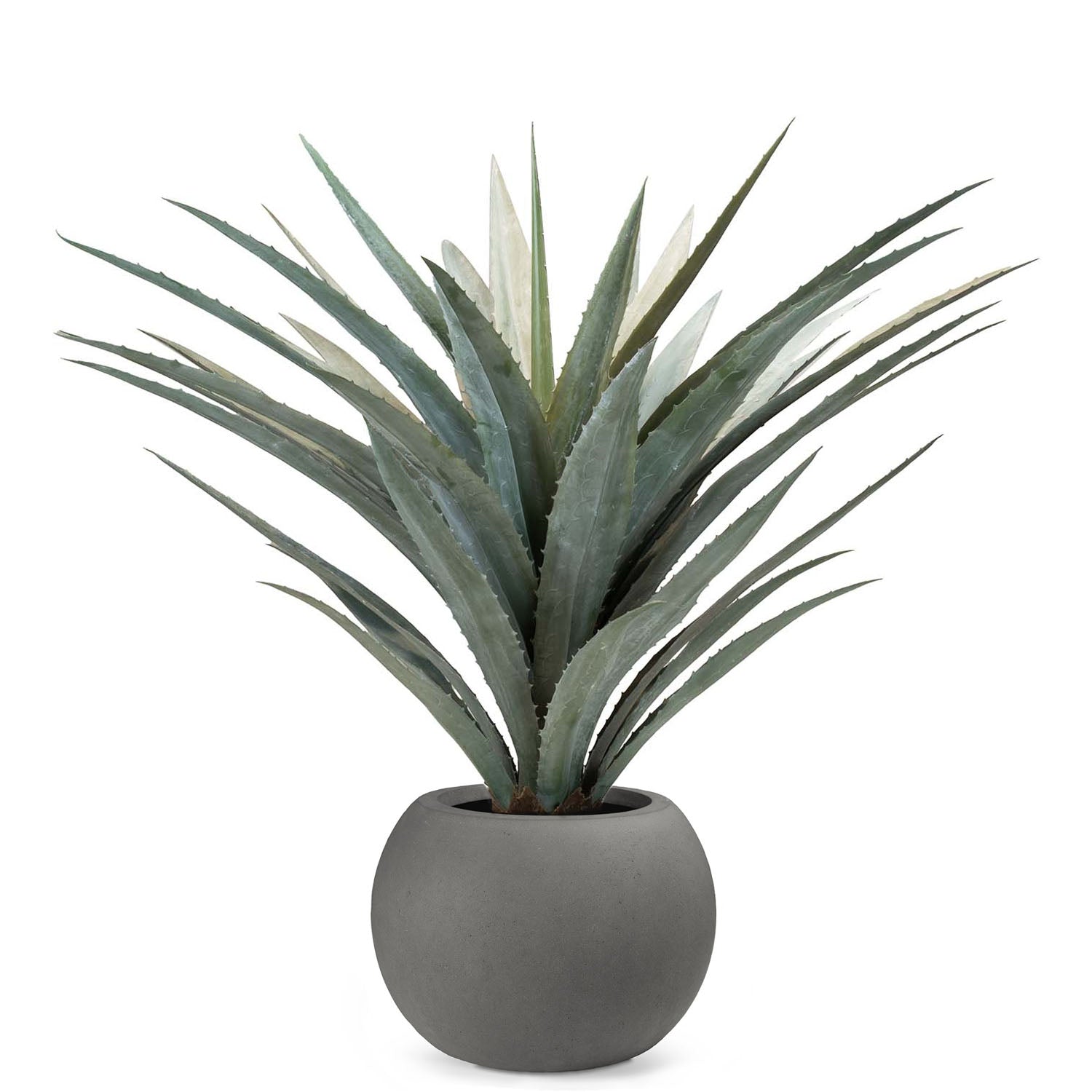 Set aus Basalo Pflanzgefäß Globe und Agave
