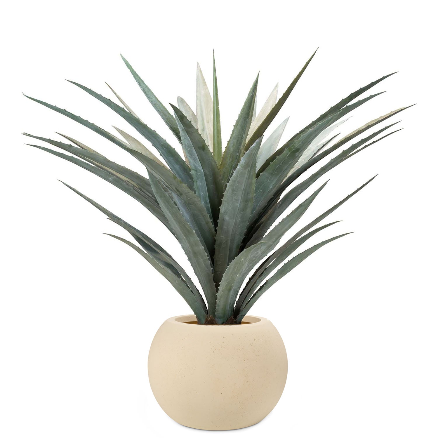 Set aus Basalo Pflanzgefäß Globe und Agave