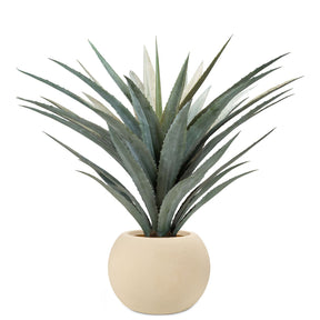 Set aus Basalo Pflanzgefäß Globe und Agave