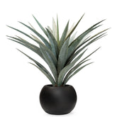 Set aus Basalo Pflanzgefäß Globe und Agave