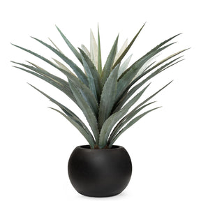 Set aus Basalo Pflanzgefäß Globe und Agave