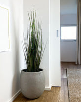 Schachtelhalm - Equisetum Kunstpflanze