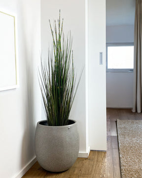 Schachtelhalm - Equisetum Kunstpflanze