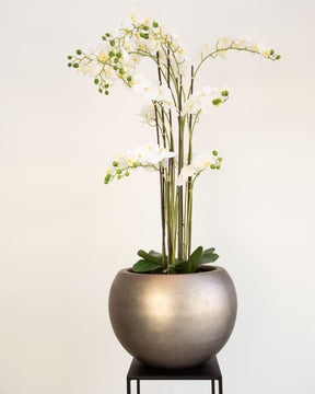 Noblesse Globe Set mit Orchidee Weiß