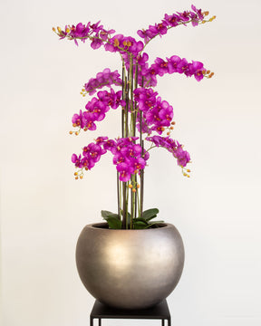 Noblesse Globe Set mit Orchidee Lila