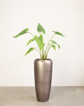Noblesse Bodenvase Set mit Elefantenohr