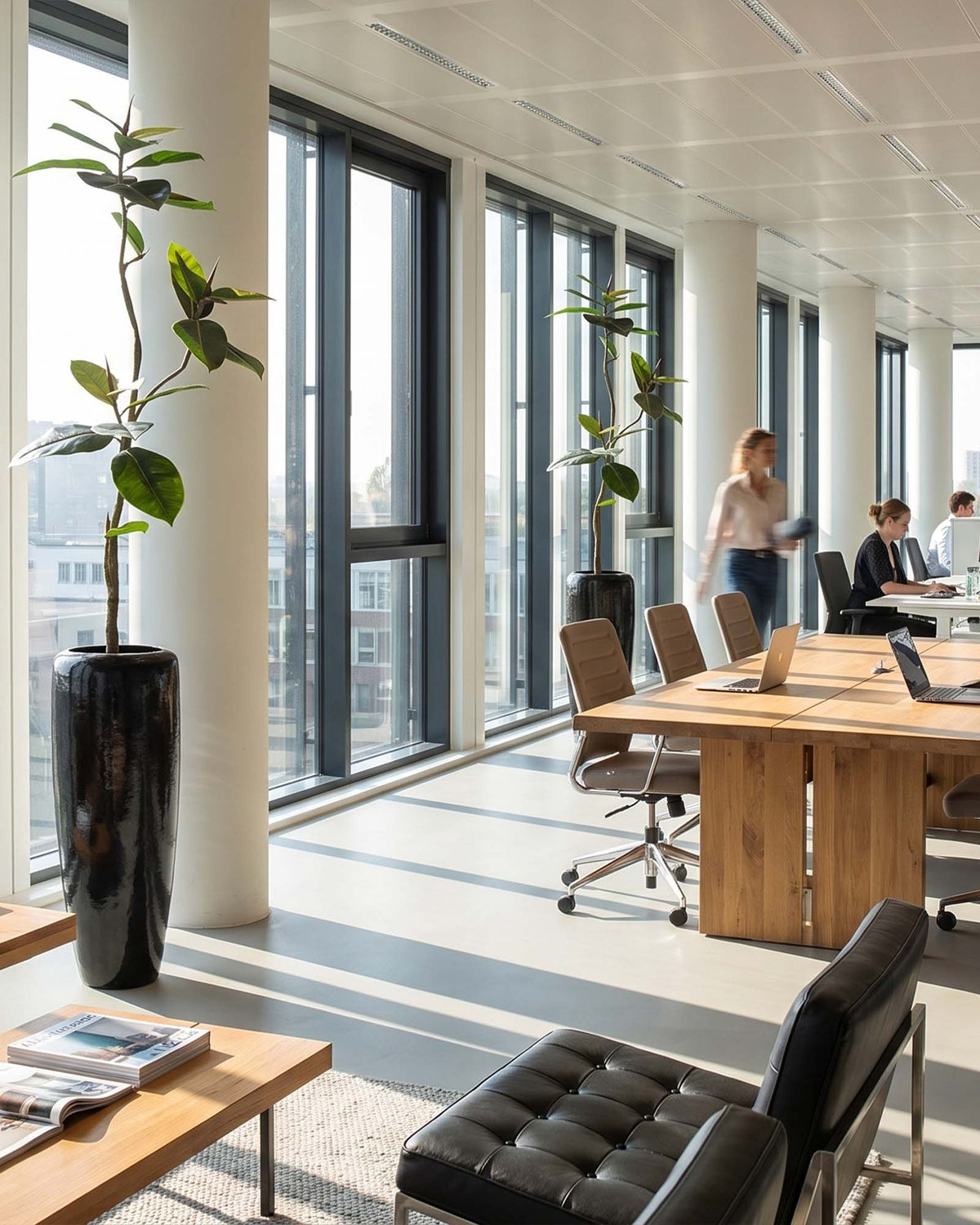 Get Your Green Ficus Elastica in Niva Bodenvase UV-stabil aus recyceltem Material Frontansicht