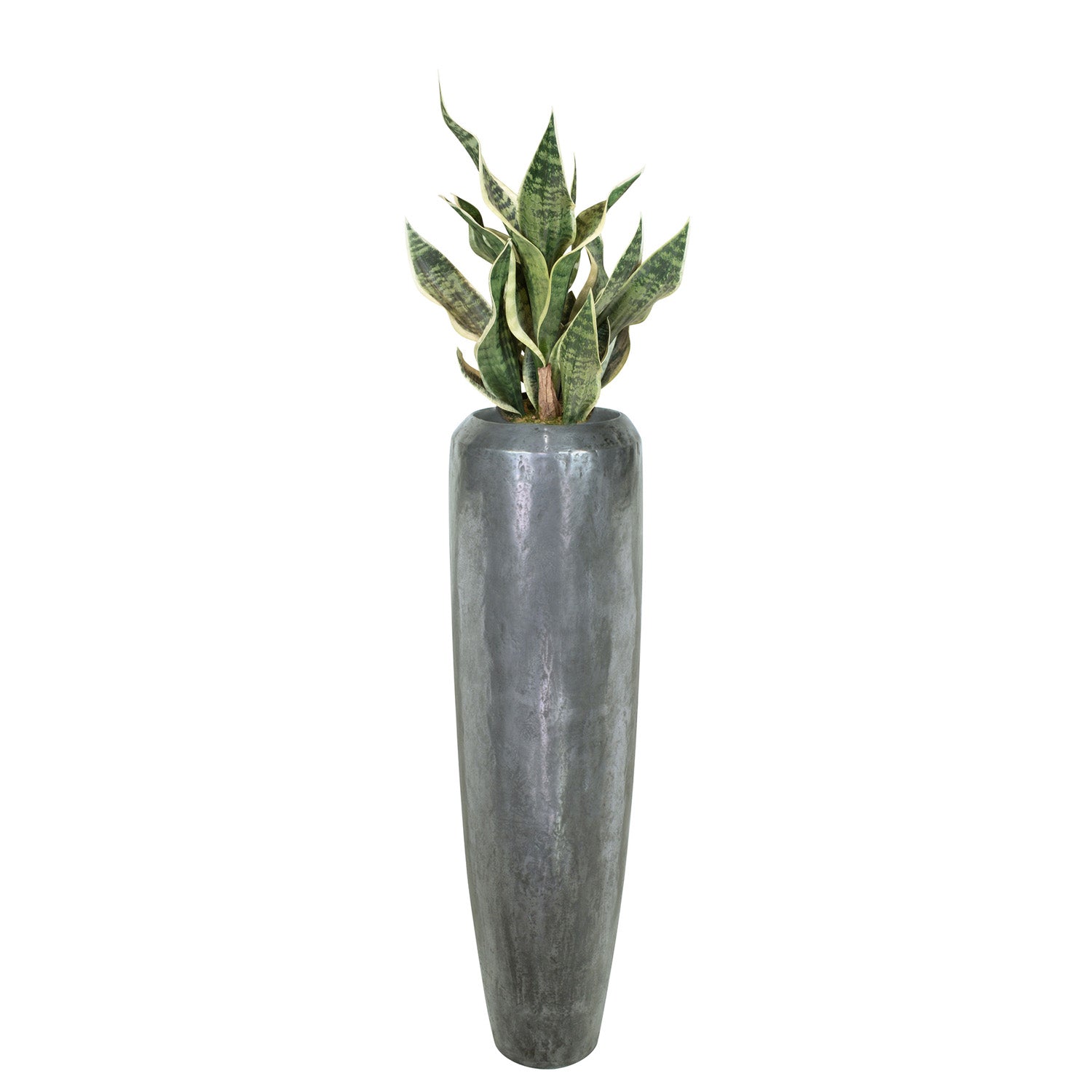 Niva Bodenvase mit Sansevieria Bogenhanf im Wohnzimmer Detailansicht der Blattstruktur