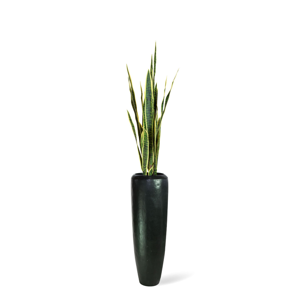 Get Your Green Bogenhanf in Niva Bodenvase aus recyceltem Material Seitenansicht für moderne Büros