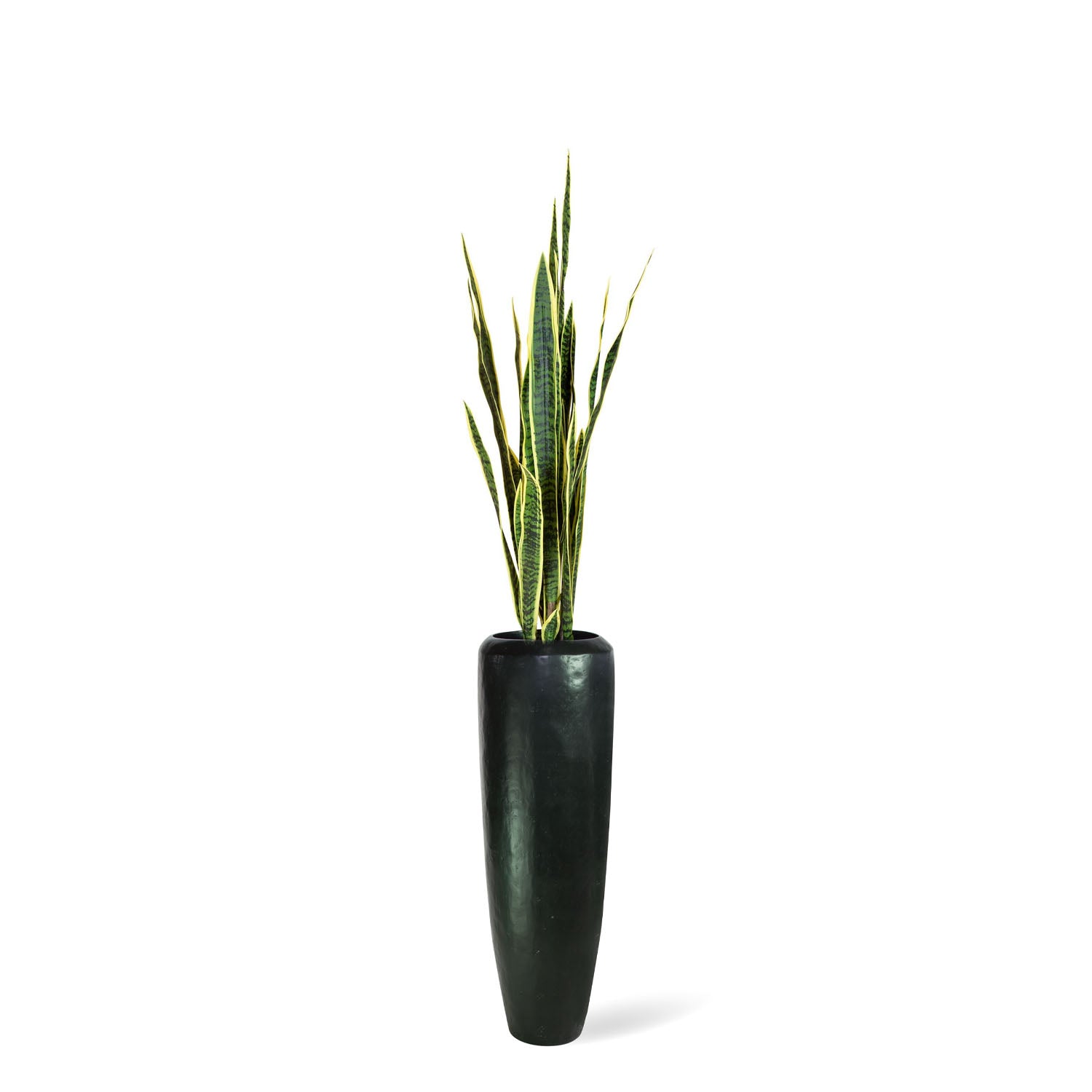 Set aus Niva Bodenvase und Bogenhanf