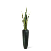 Set aus Niva Bodenvase und Bogenhanf