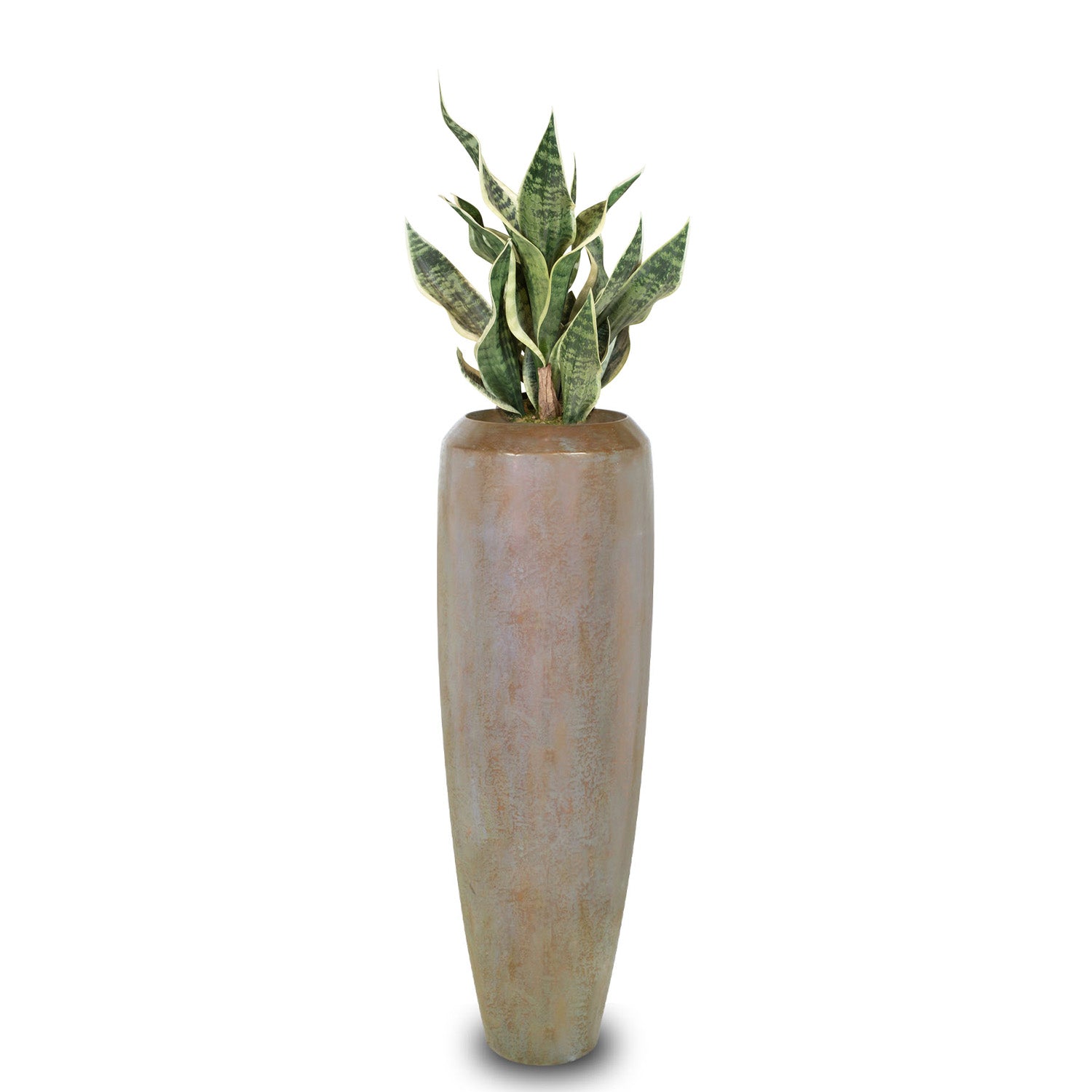 Detailansicht der Niva Bodenvase mit Sansevieria Bogenhanf für architektonische Wohnzimmergestaltung