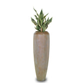 Detailansicht der Niva Bodenvase mit Sansevieria Bogenhanf für architektonische Wohnzimmergestaltung