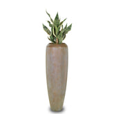 Detailansicht Sansevieria Bogenhanf in Niva Bodenvase für die Dekoration im Flur