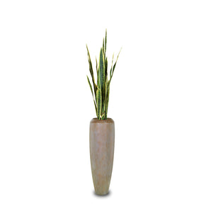 Set aus Niva Bodenvase und Bogenhanf