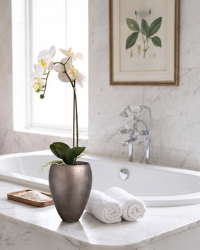 Get Your Green Set aus weißer Orchidee und Noblesse Orchideentopf Frontansicht