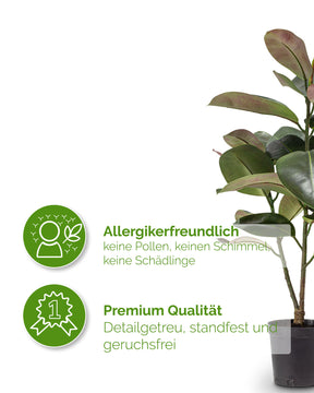 Ficus Elastica - Gummibaum Kunstpflanze